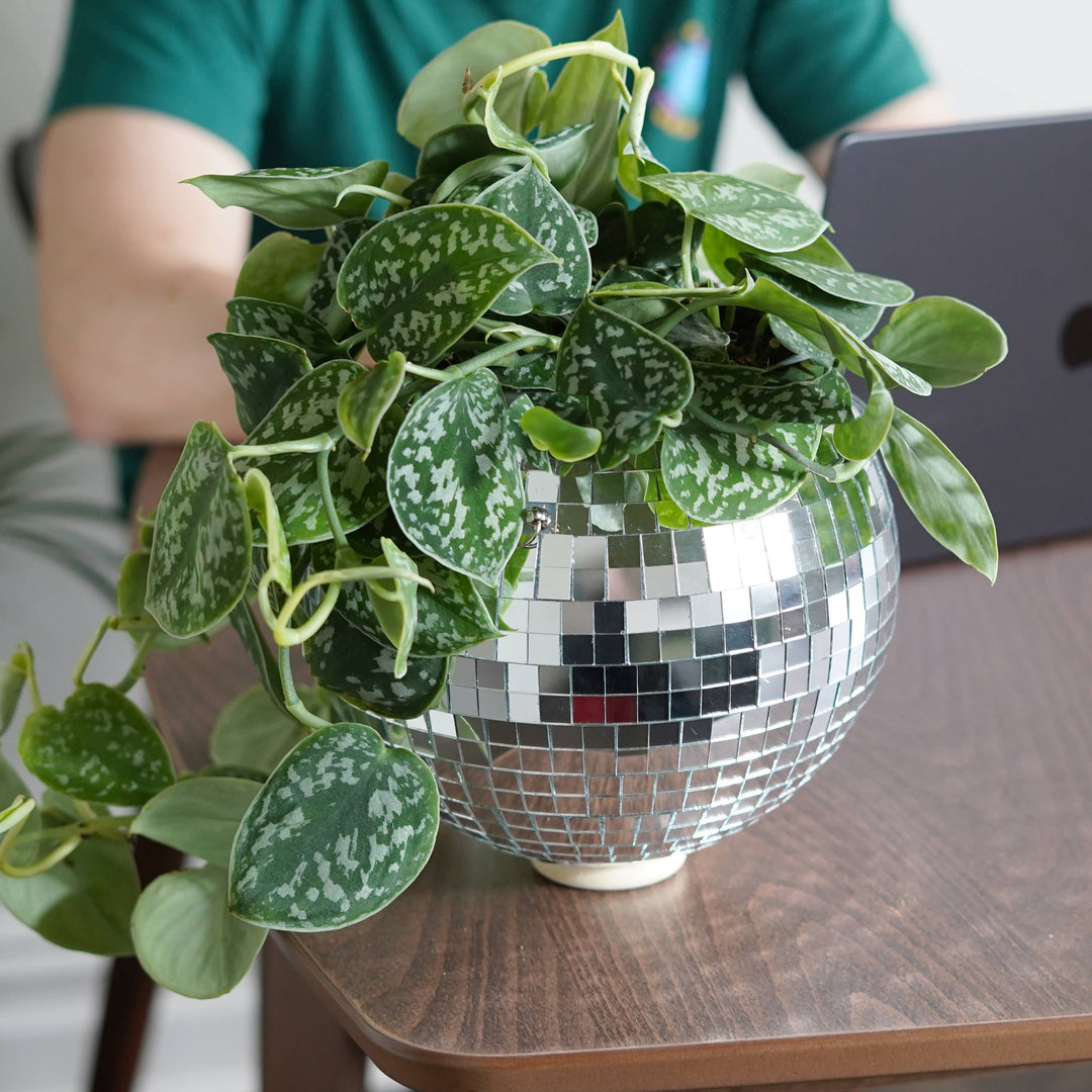 Disco Ball Hanging Planter (8in)