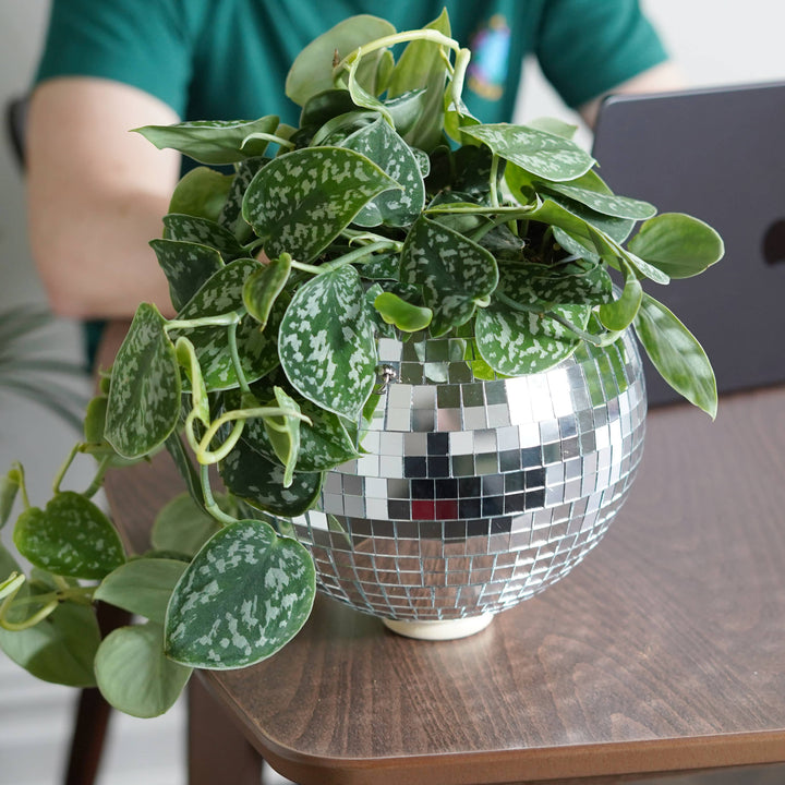 Disco Ball Hanging Planter (8in)