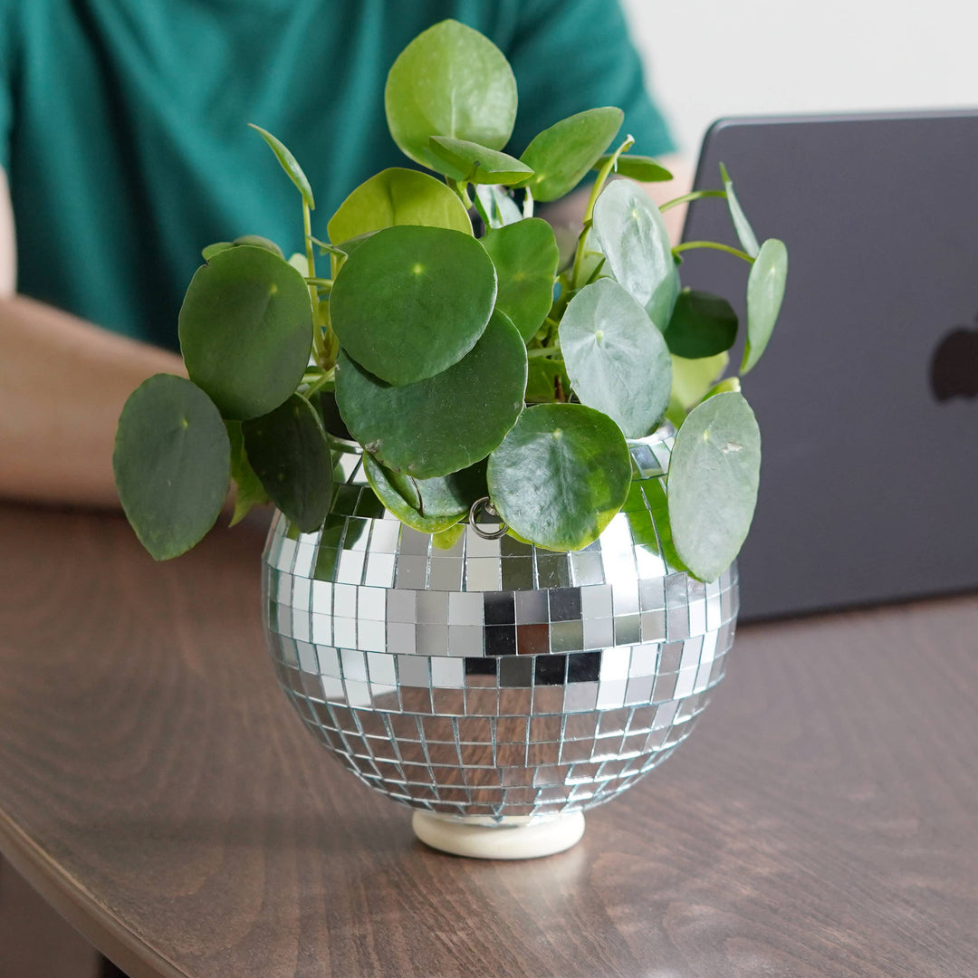 Disco Ball Hanging Planter (6in)