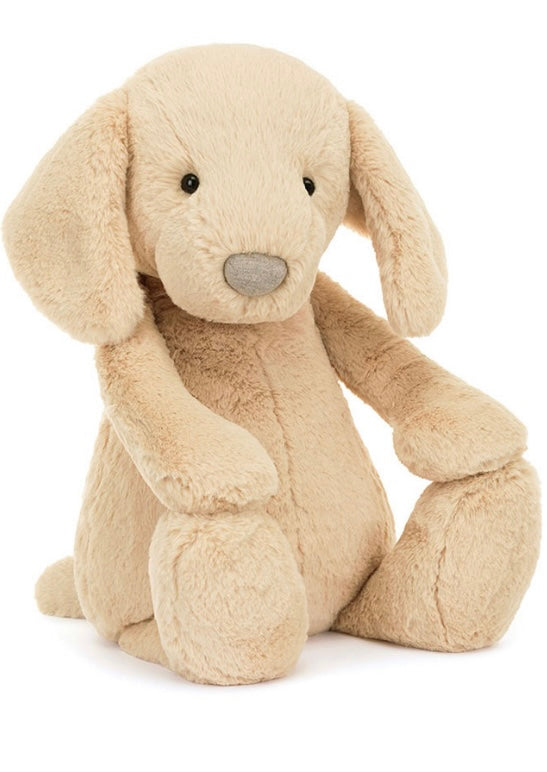 BIG BASHFUL LUXE PUPPY ORLANDO