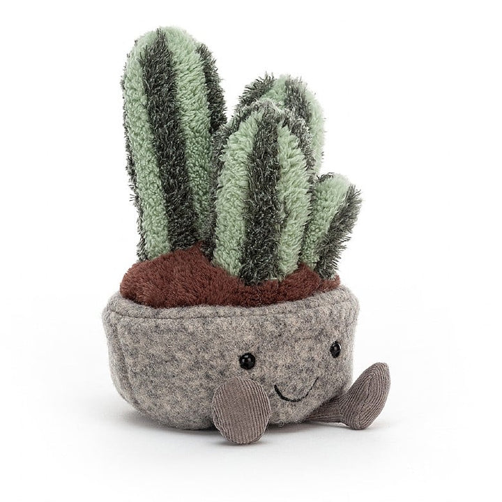 SILLY SUCCULENT COLUMNAR CACTUS