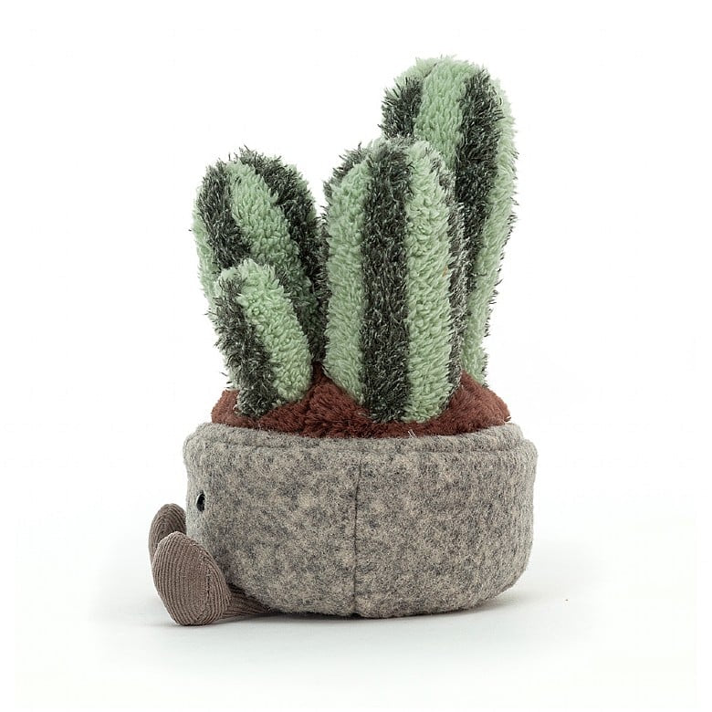 SILLY SUCCULENT COLUMNAR CACTUS