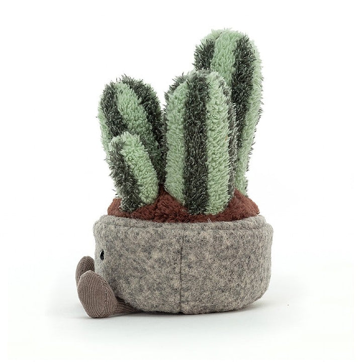 SILLY SUCCULENT COLUMNAR CACTUS
