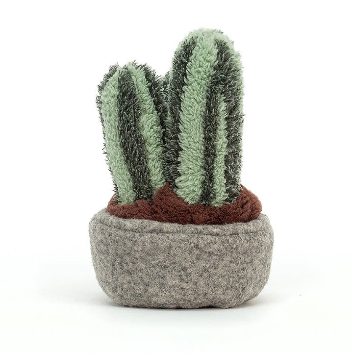 SILLY SUCCULENT COLUMNAR CACTUS