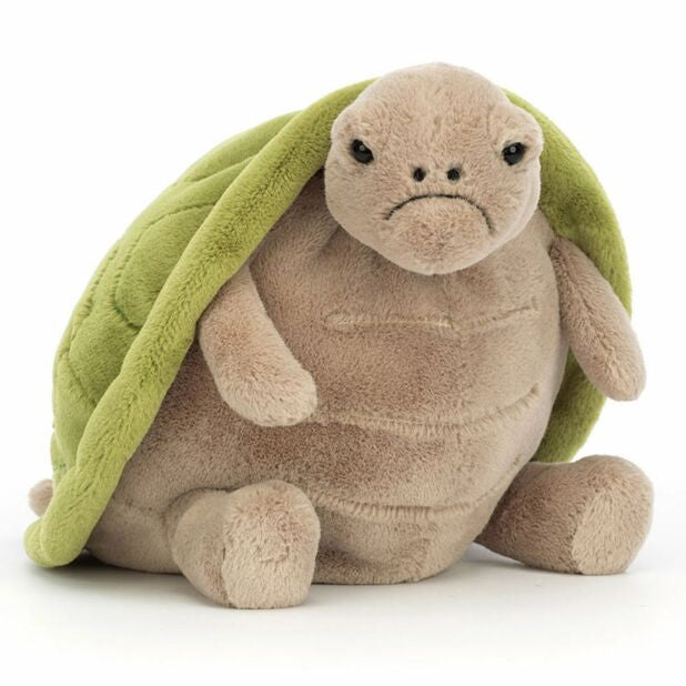 TIMMY TURTLE BIG