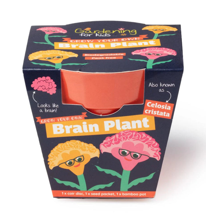 BRAIN PLANT GROWING KIT WITH POT