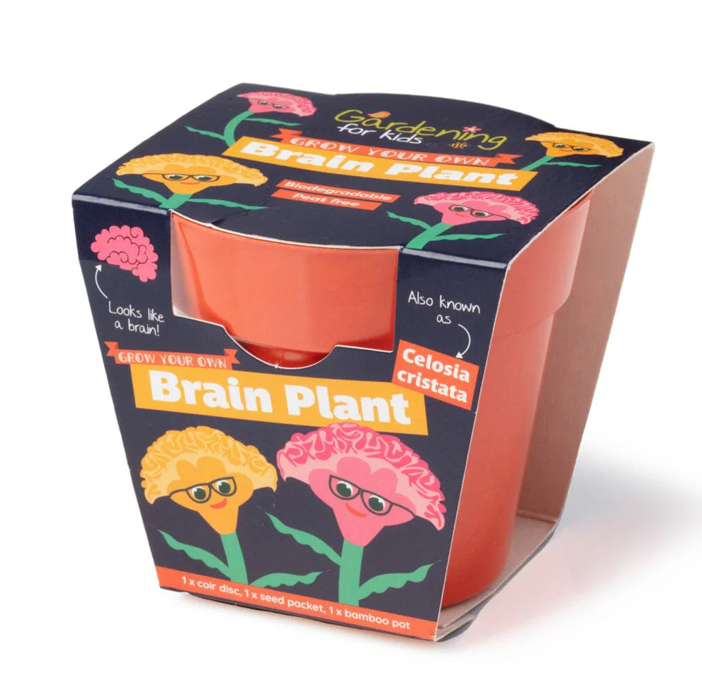 BRAIN PLANT GROWING KIT WITH POT