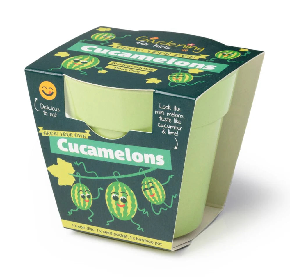CUCAMELON GROWING KIT WITH POT