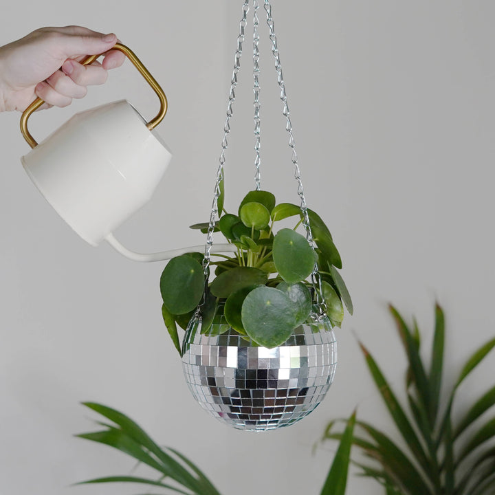 Disco Ball Hanging Planter (6in)