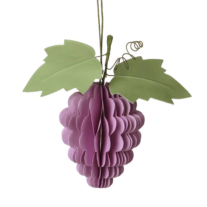PURPLE PAPER GRAPES