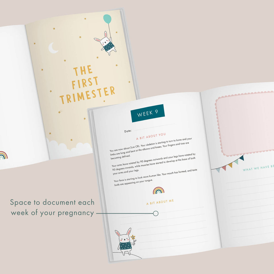 Bump to Birthday Pregnancy Journal | Pregnancy Keepsake