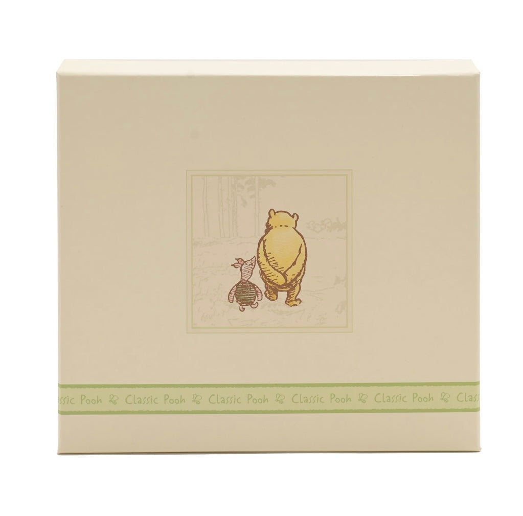 DISNEY CLASSIC POOH HERITAGE PHOTO ALBUM/BOX MY FIRST PHOTOS