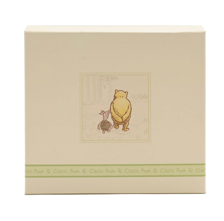 DISNEY CLASSIC POOH HERITAGE PHOTO ALBUM/BOX MY FIRST PHOTOS