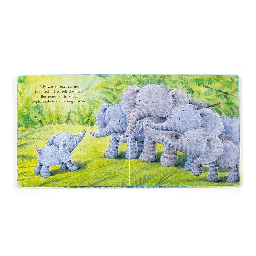 ELEPHANTS CAN'T FLY BOOK