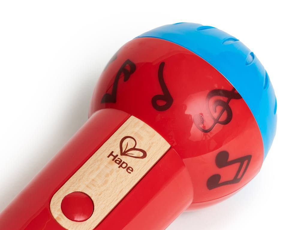 MIGHTY ECHO MICROPHONE