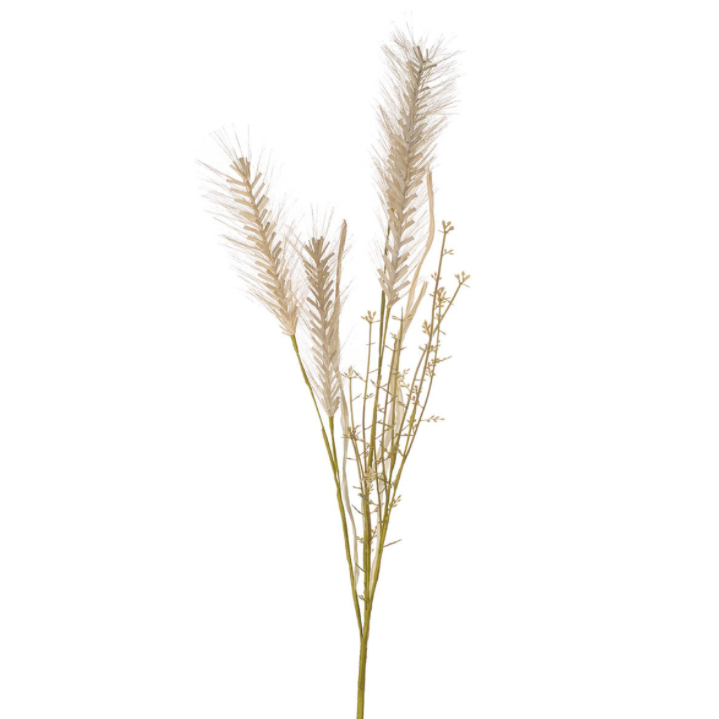 CREAM WHEAT GRASS SPRAY