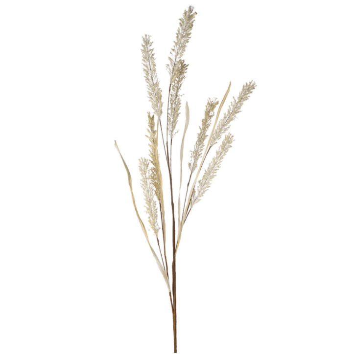 CREAM WILD GRASS SPRAY