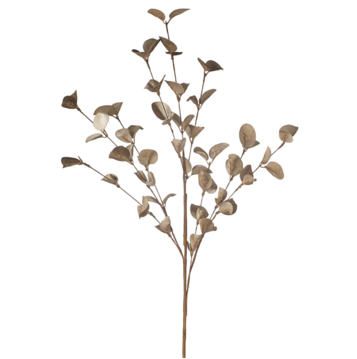 OLIVE LEAF SPRAY