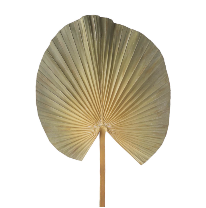 DUSKY GREEN PALM STEM