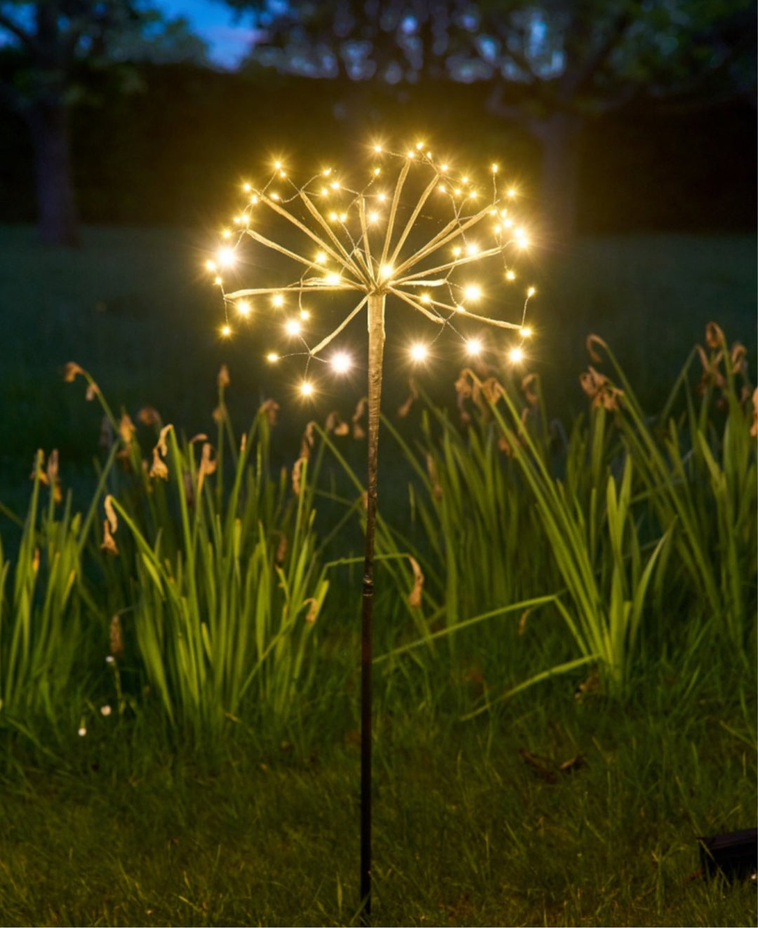 DANDELION SOLAR LIGHT