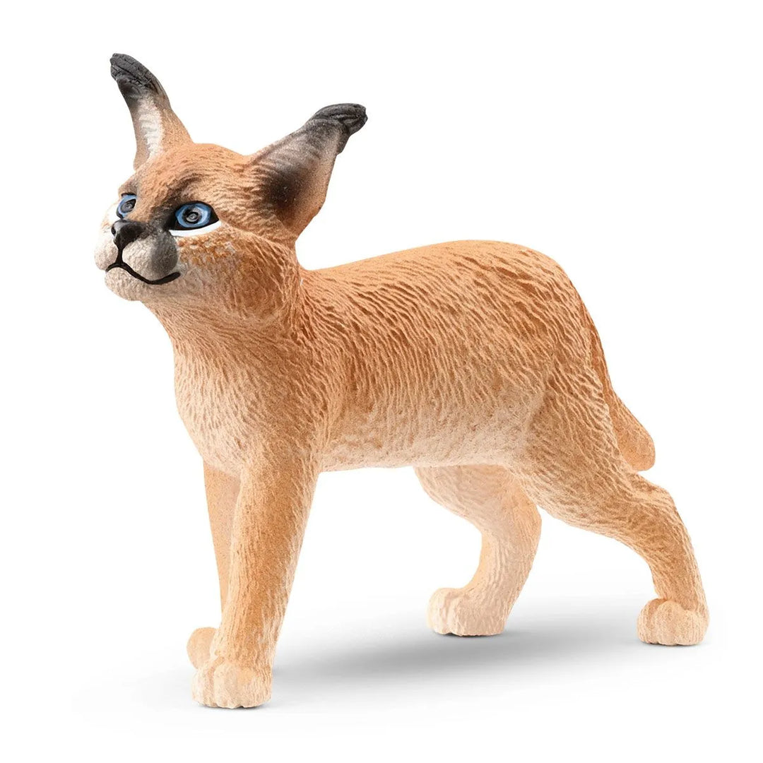 CARACAL CUB