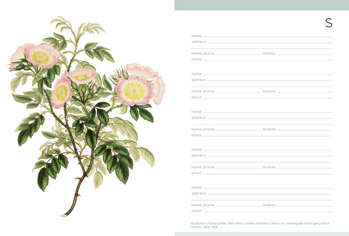 RHS DESK ADDRESS BOOK