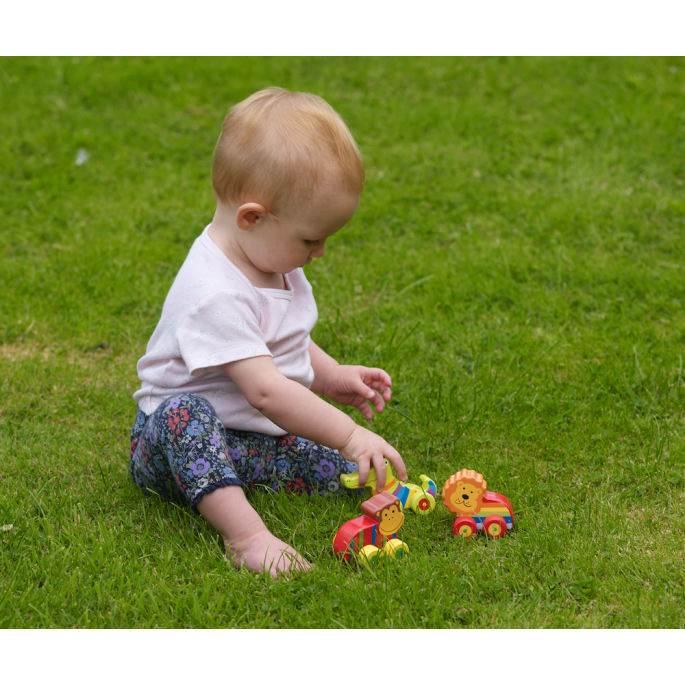 MY FIRST JUNGLE ANIMALS VEICHLES