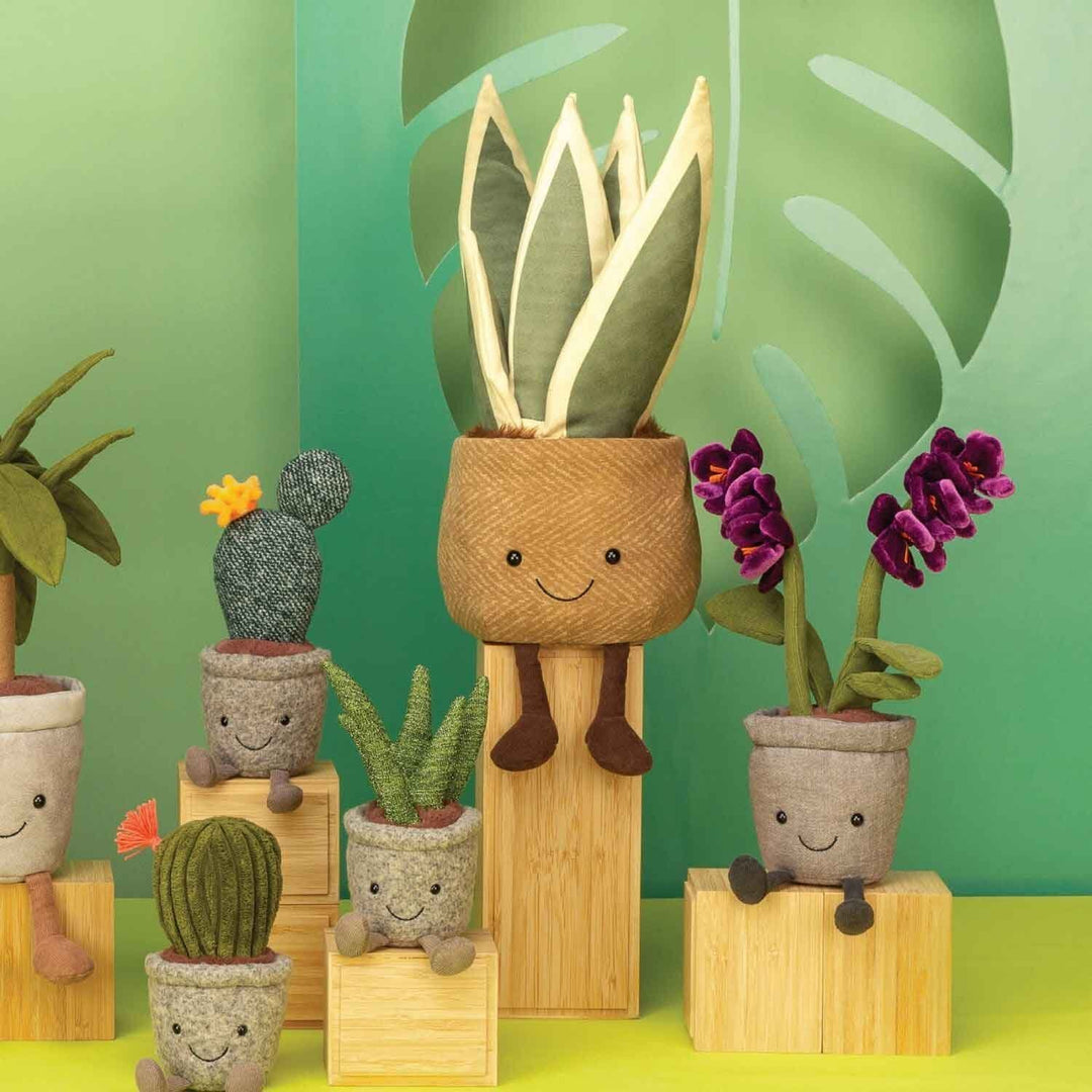 Jellycat Succulents