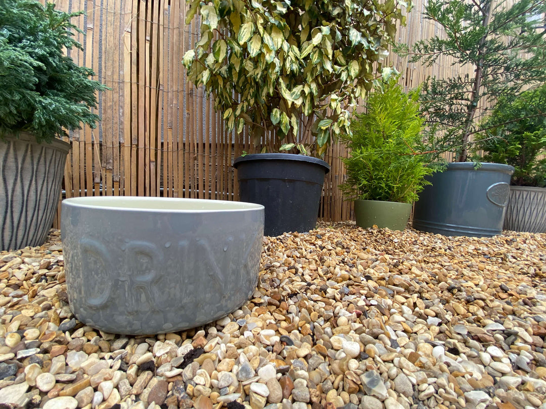 dog-water-bowl