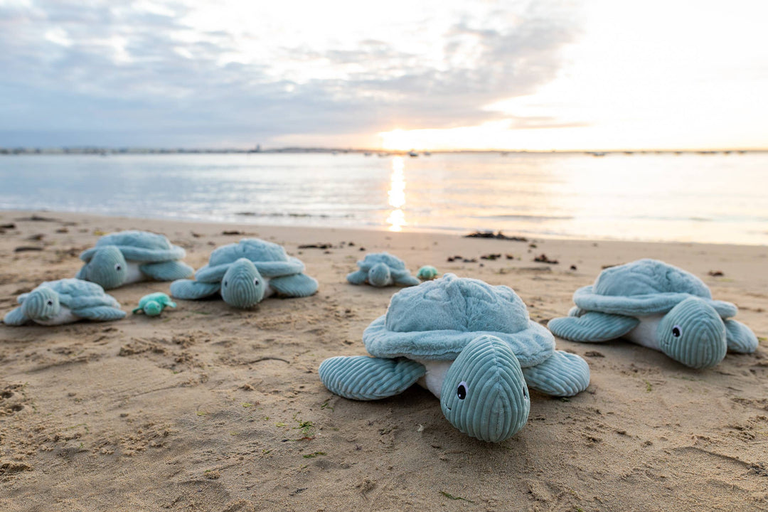 Les Ptipotos Tilly The Turtle Mum & Baby Mint