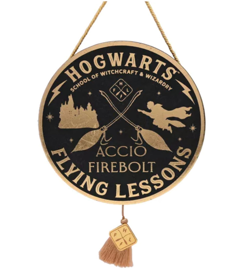 WARNER BROS ALUMNI A FLYING LESSON PENDENT