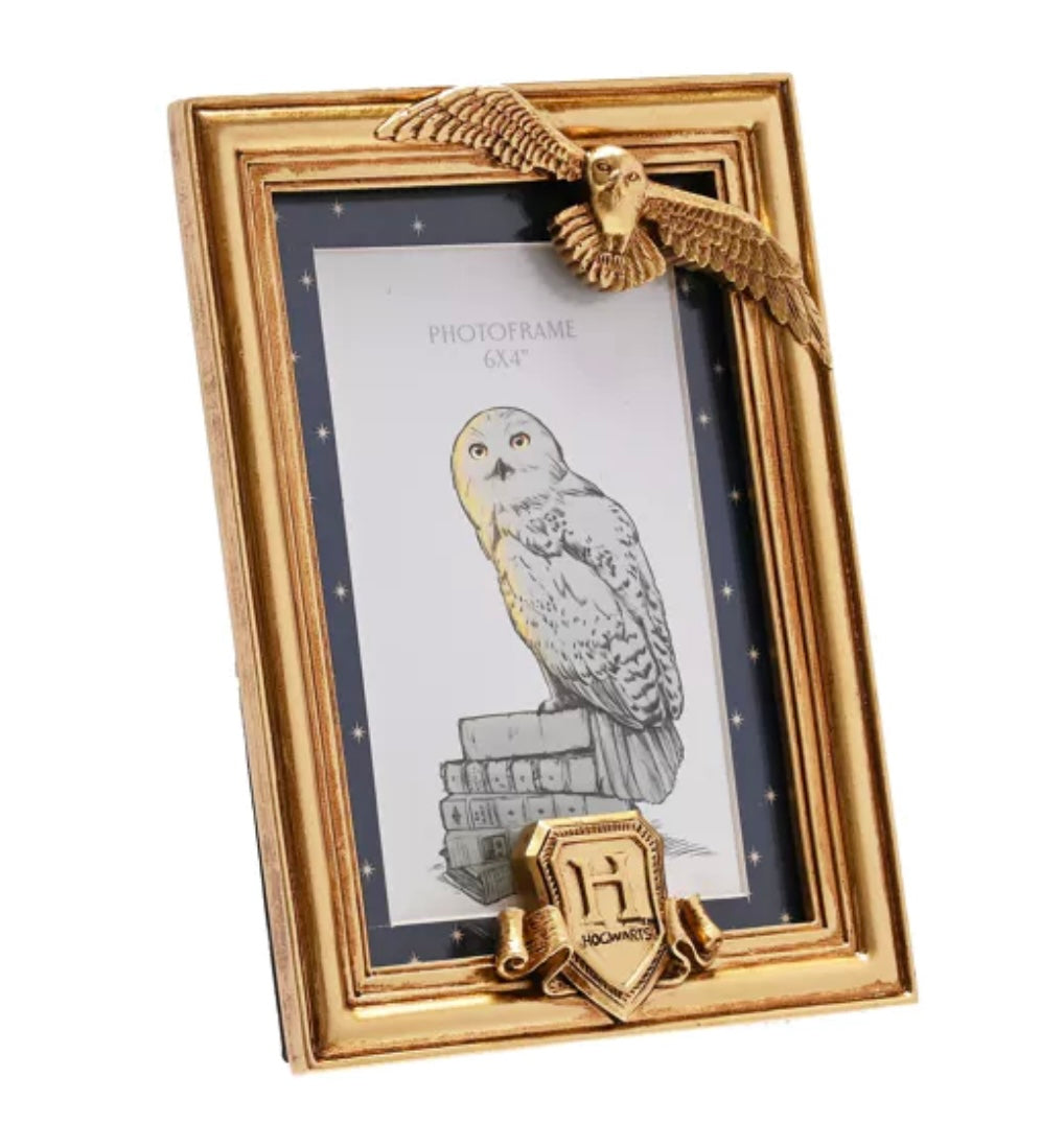 WARNER BROS ALUMNI HEDWIG GOLD PHOTO FRAME 6x4