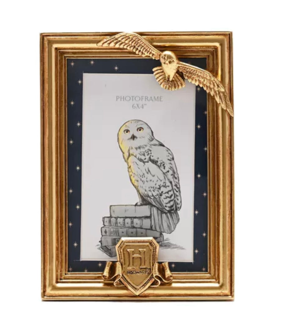 WARNER BROS ALUMNI HEDWIG GOLD PHOTO FRAME 6x4