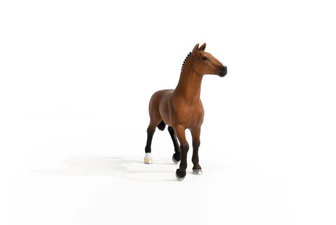 OLDENBURG MARE