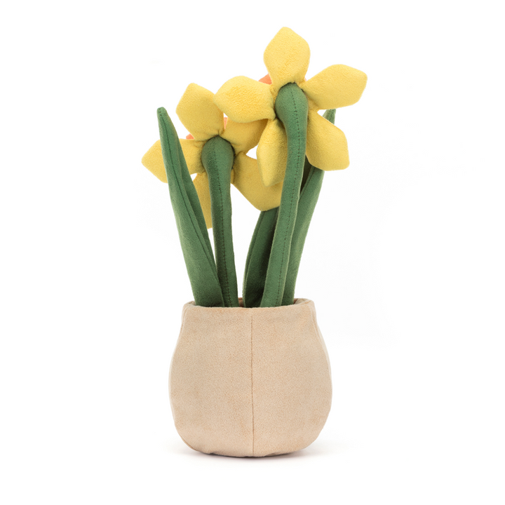 AMUSEABLE DAFFODIL POT