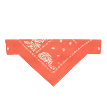 BANDANA SCARF