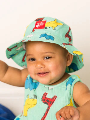 BRAVE & BOLD HAT