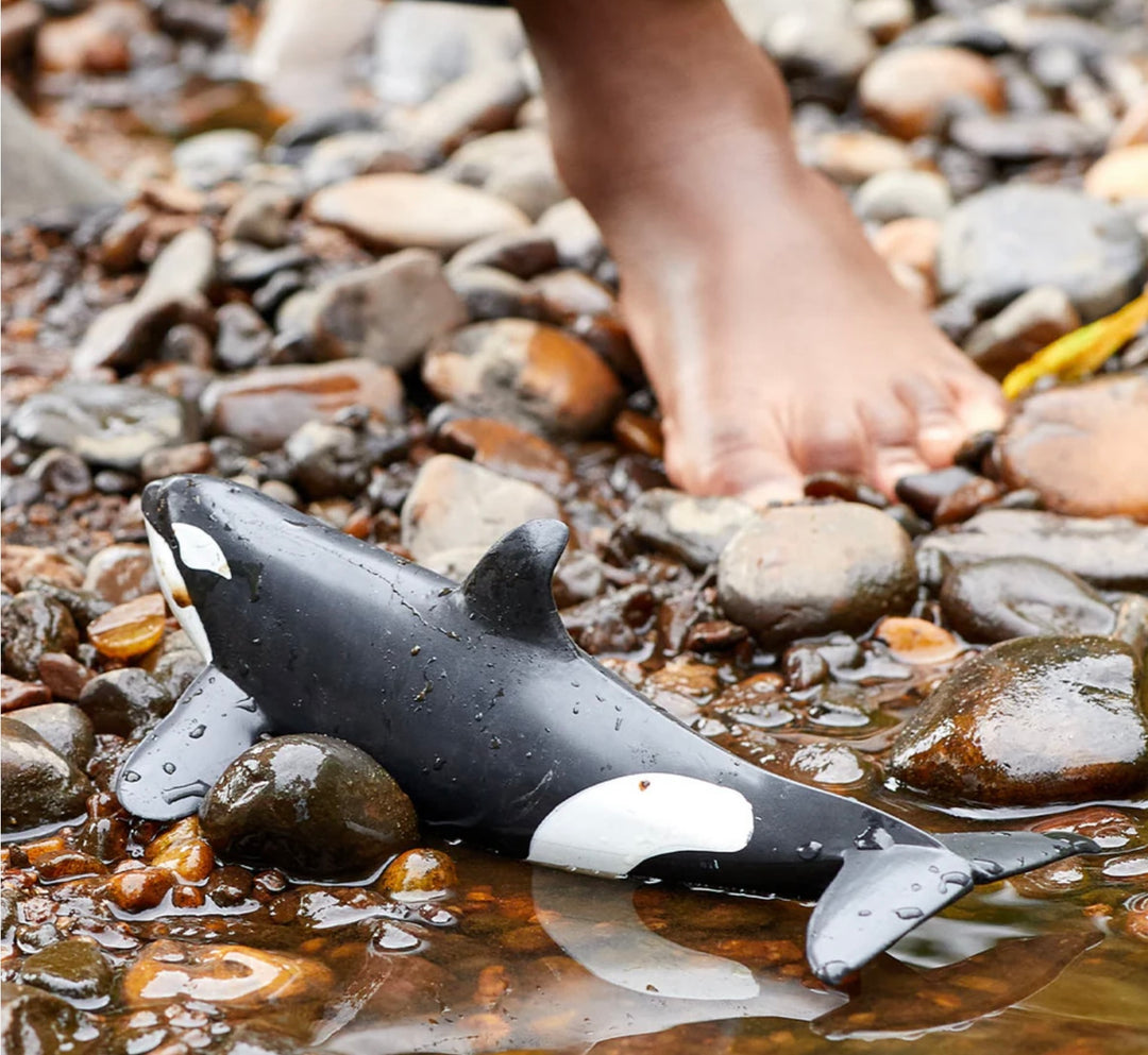 KILLER WHALE