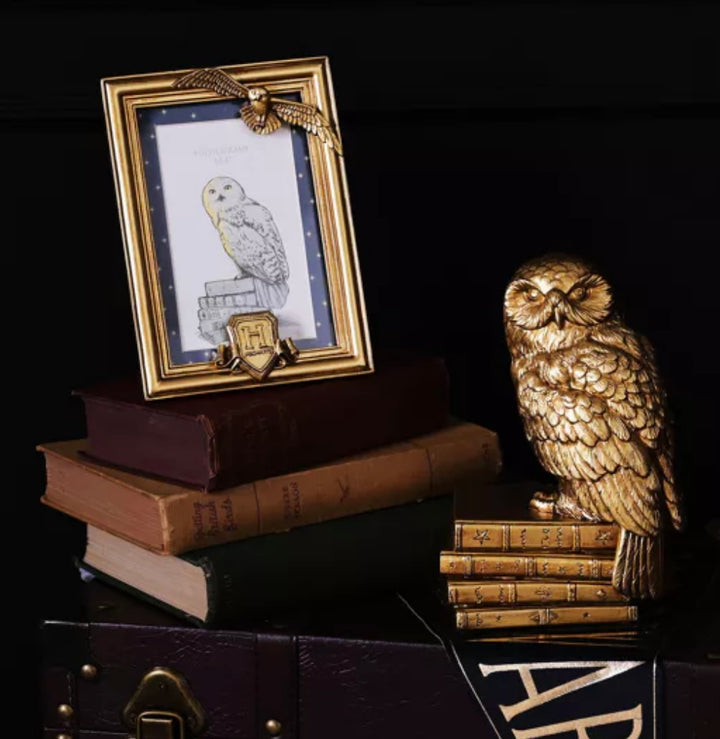 WARNER BROS ALUMNI HEDWIG GOLD PHOTO FRAME 6x4