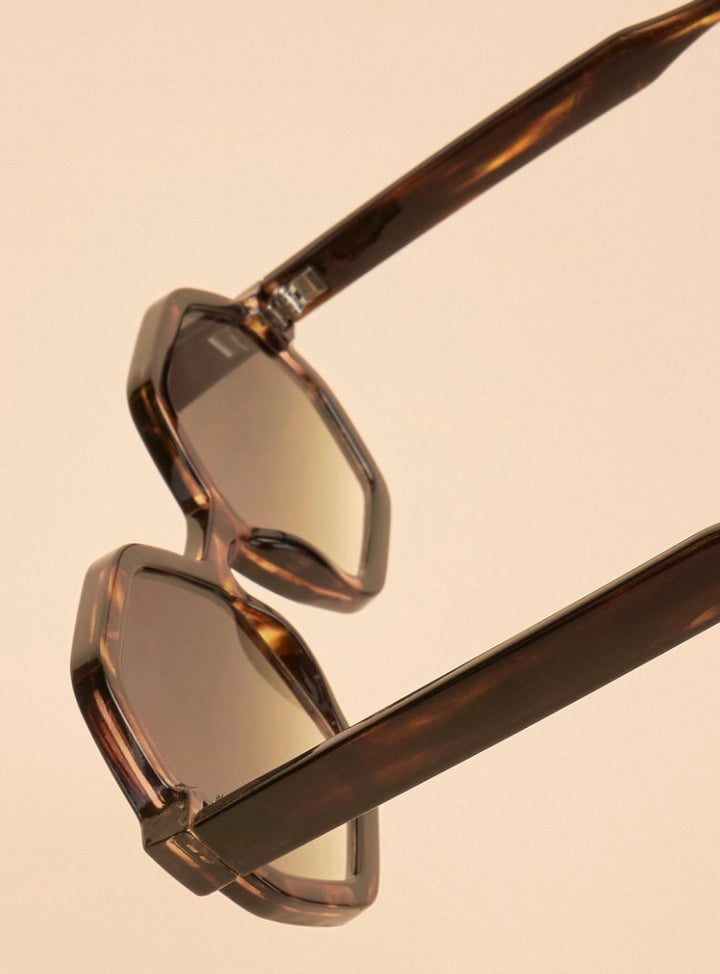 LIMITED EDITION TORTOISESHELL RAVEN SUNGLASSES