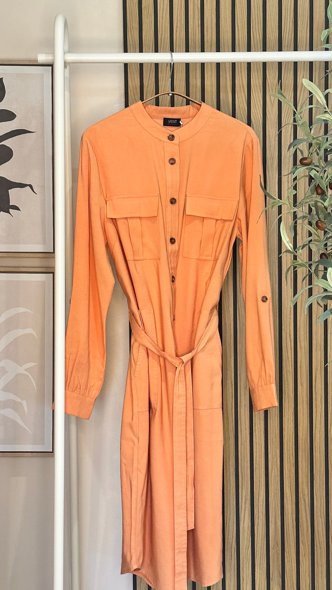 SALMON FHINE DRESS