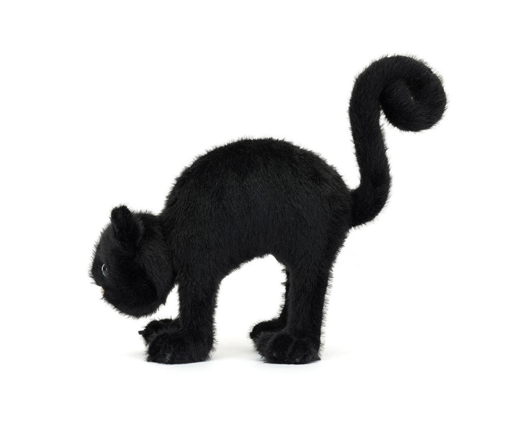 SPOOKIPAWS CAT