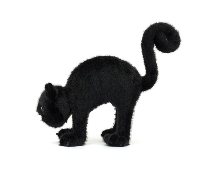 SPOOKIPAWS CAT