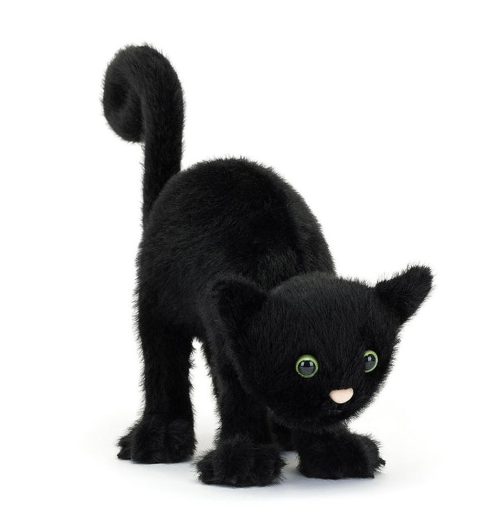 SPOOKIPAWS CAT