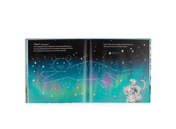 SACHA AND THE MOST WONDERFUL THING BOOK