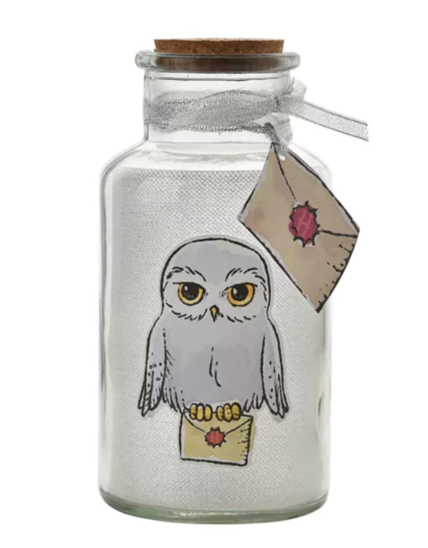HARRY POTTER CHARMS HEDWIG LIGHT UP JAR