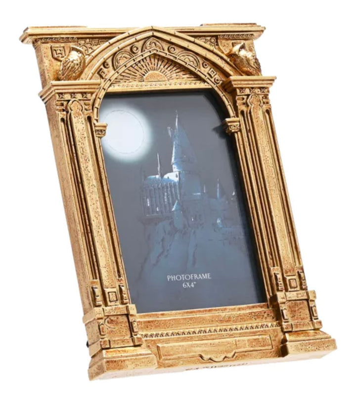 WARNER BROS HARRY POTTER ALUMNI HOGWARTS GOLD FRAME