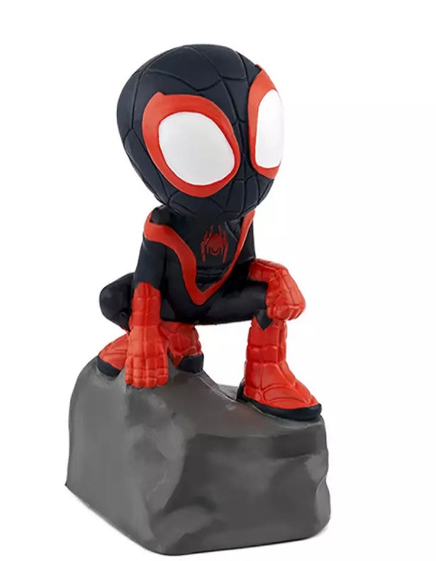 SPIDEY & HIS AMAZING FRIENDS BLACK PANTHER