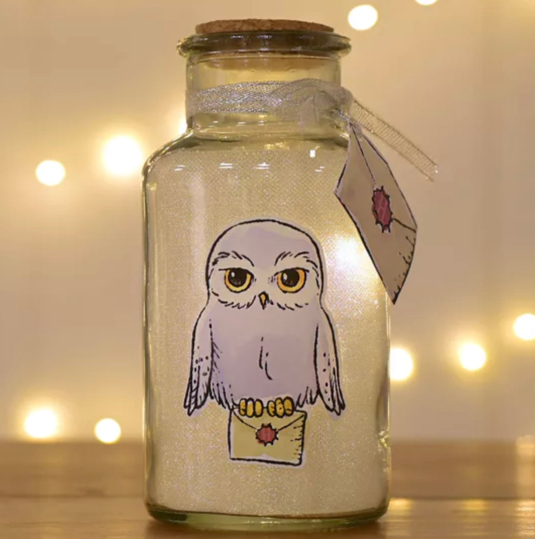 HARRY POTTER CHARMS HEDWIG LIGHT UP JAR