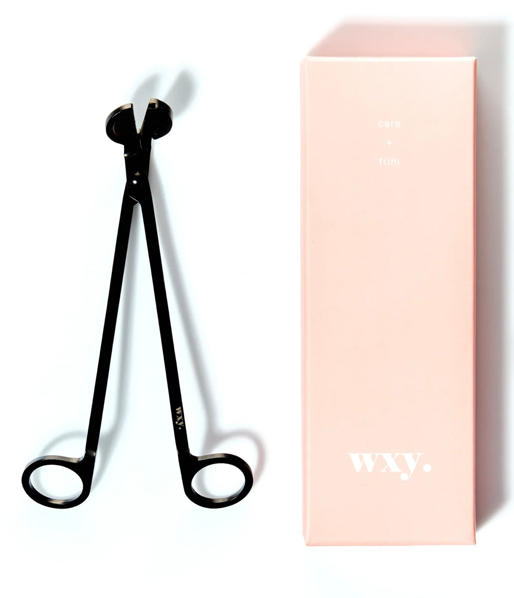 BLACK CARE & TRIM WICK TRIMMER